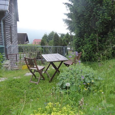 Haus Bergwiese - Fuer Naturfreunde, Familien, Wanderer Gehlberg Eksteriør billede