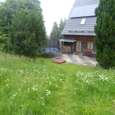 Haus Bergwiese - Fuer Naturfreunde, Familien, Wanderer Gehlberg Eksteriør billede